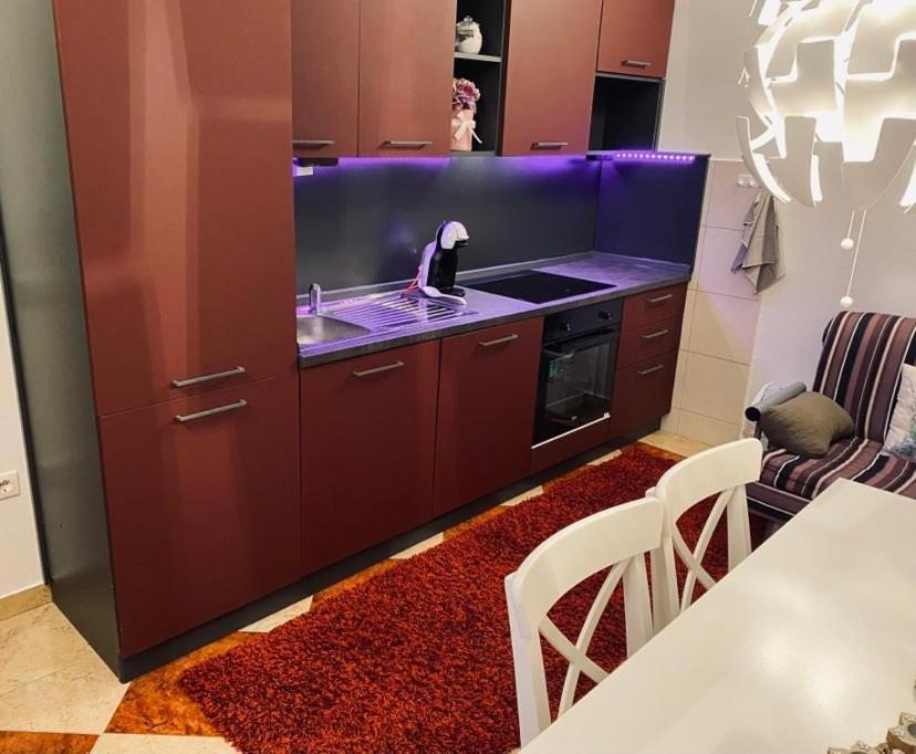 Apartman Silvija ツリクヴェニツァ エクステリア 写真